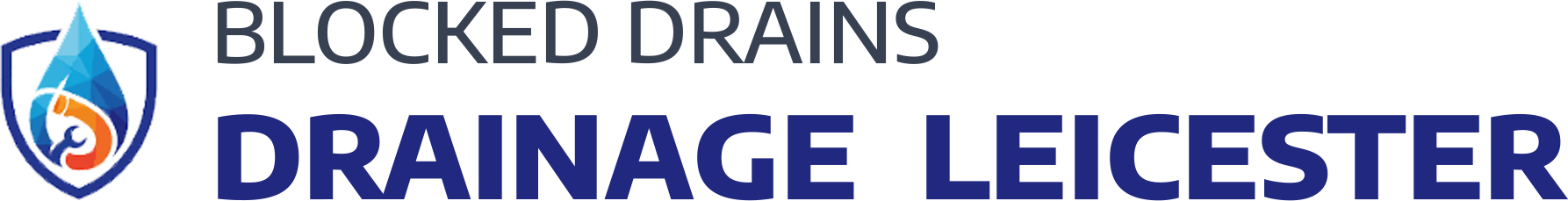 website logo